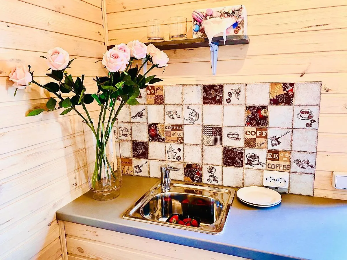 Guest house Родные Стены